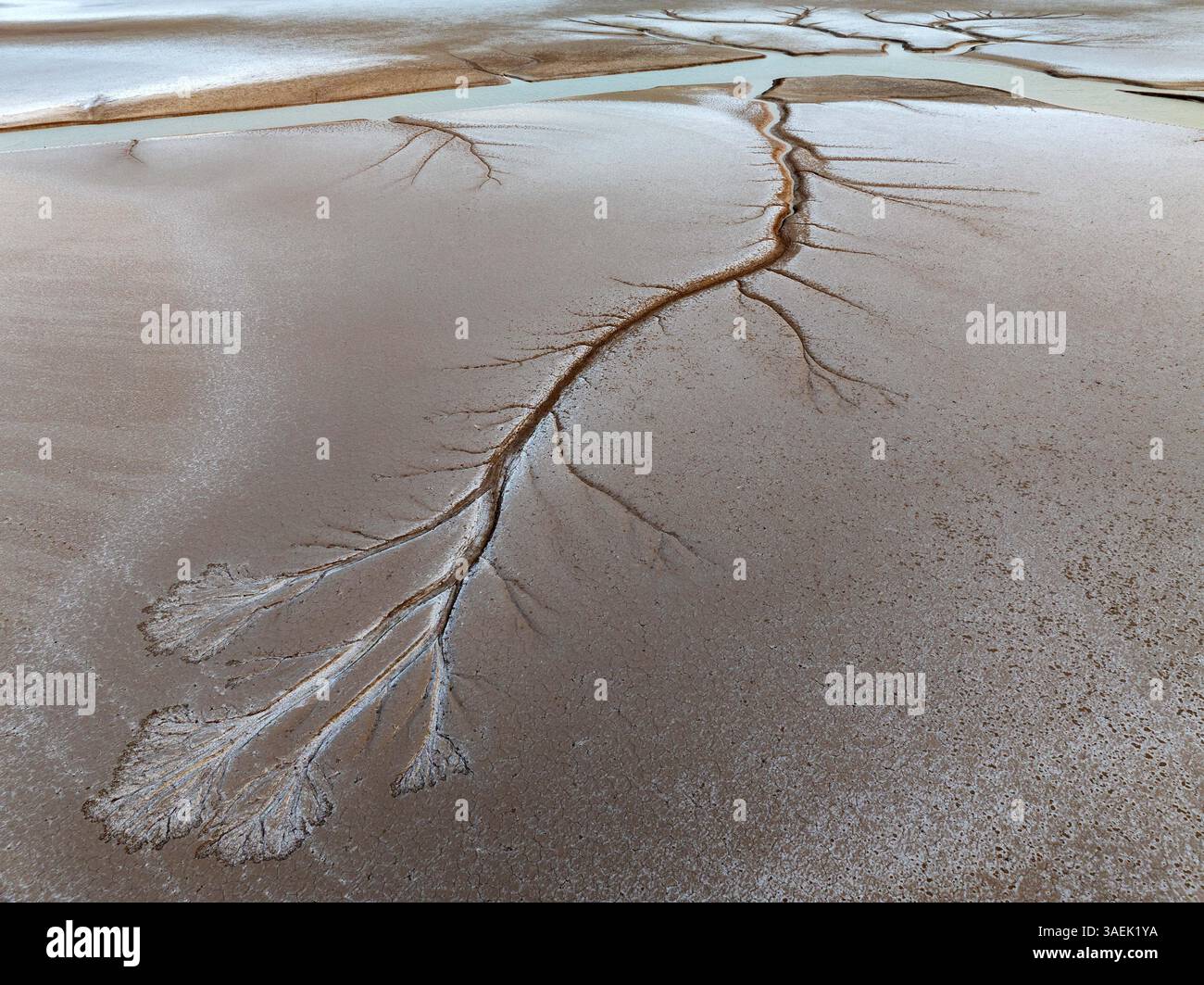 YANCHENG, CHINA - APRIL 5, 2025 - The 