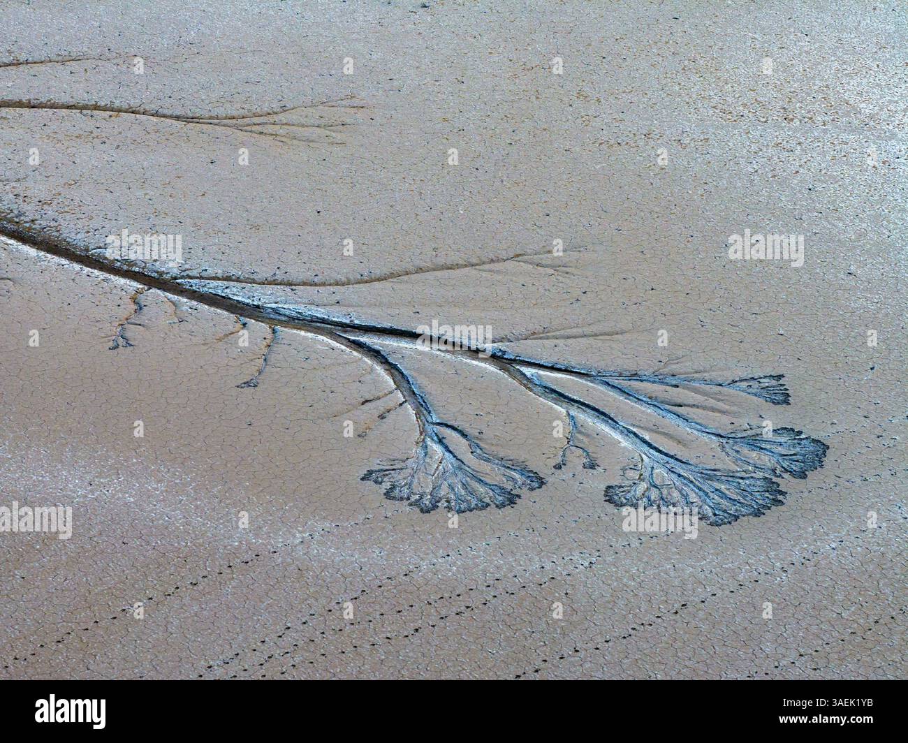 YANCHENG, CHINA - APRIL 5, 2025 - The 