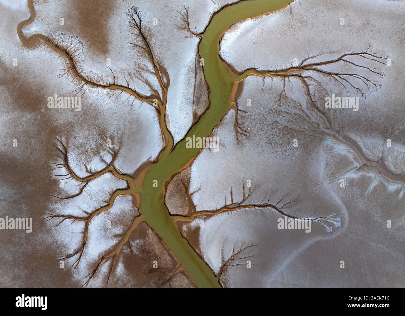 YANCHENG, CHINA - APRIL 5, 2025 - The 