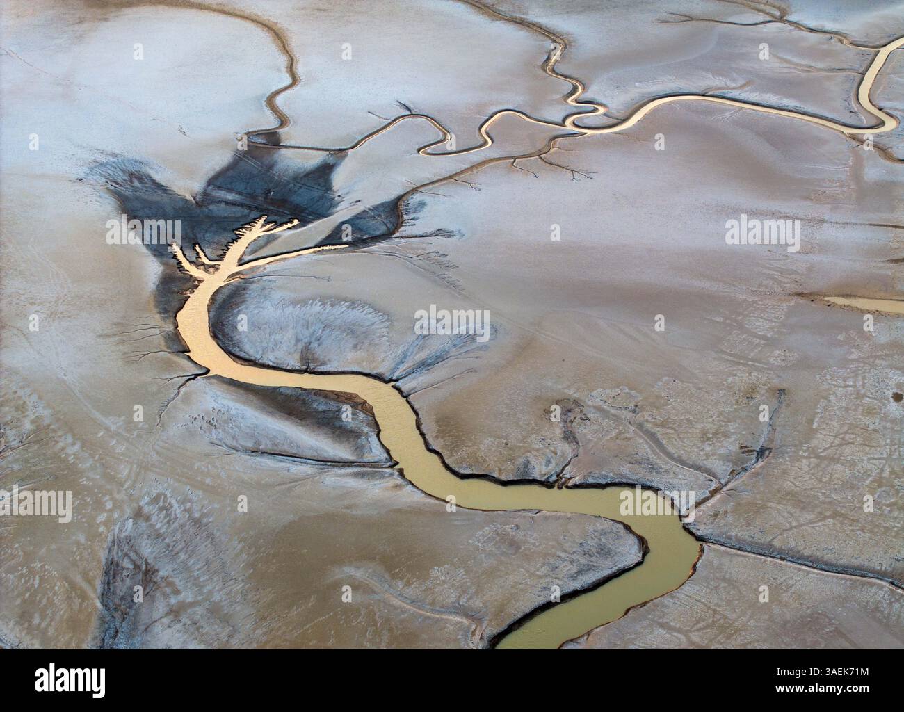 YANCHENG, CHINA - APRIL 5, 2025 - The 