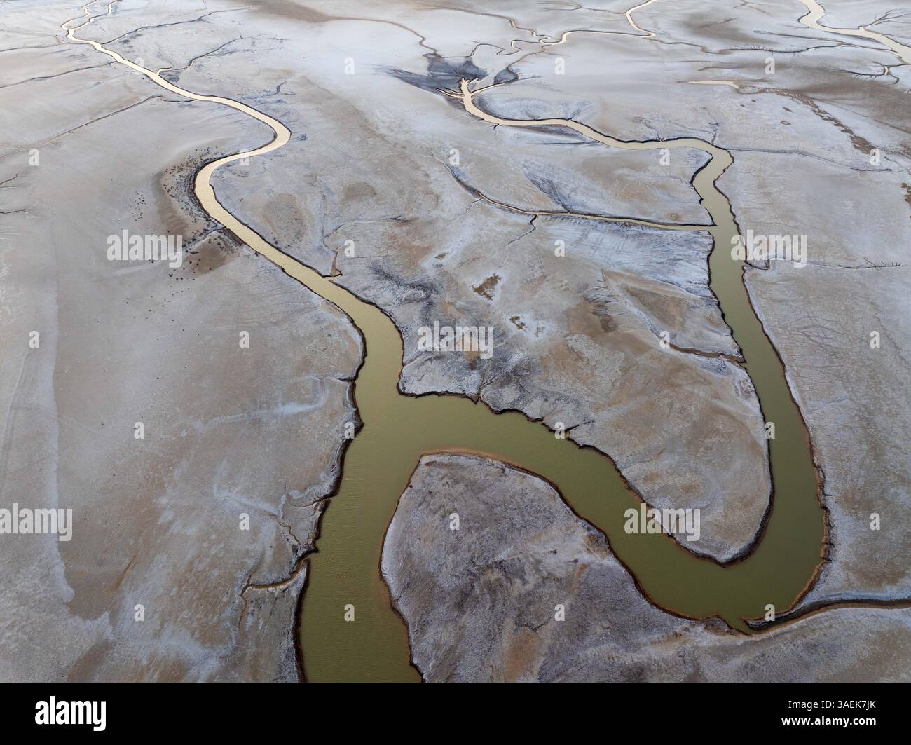 YANCHENG, CHINA - APRIL 5, 2025 - The 