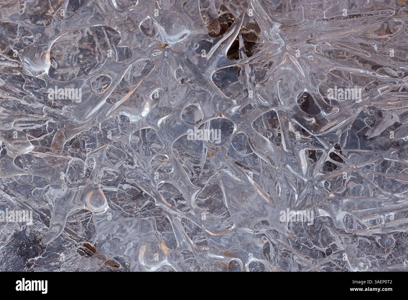 Ice patterns on the bank of the Potomac river, Maryland Stock Photo