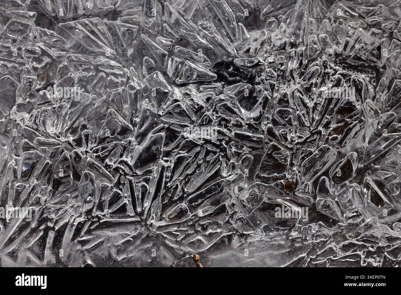 Ice patterns on the banks of the Potomac river, Maryland Stock Photo