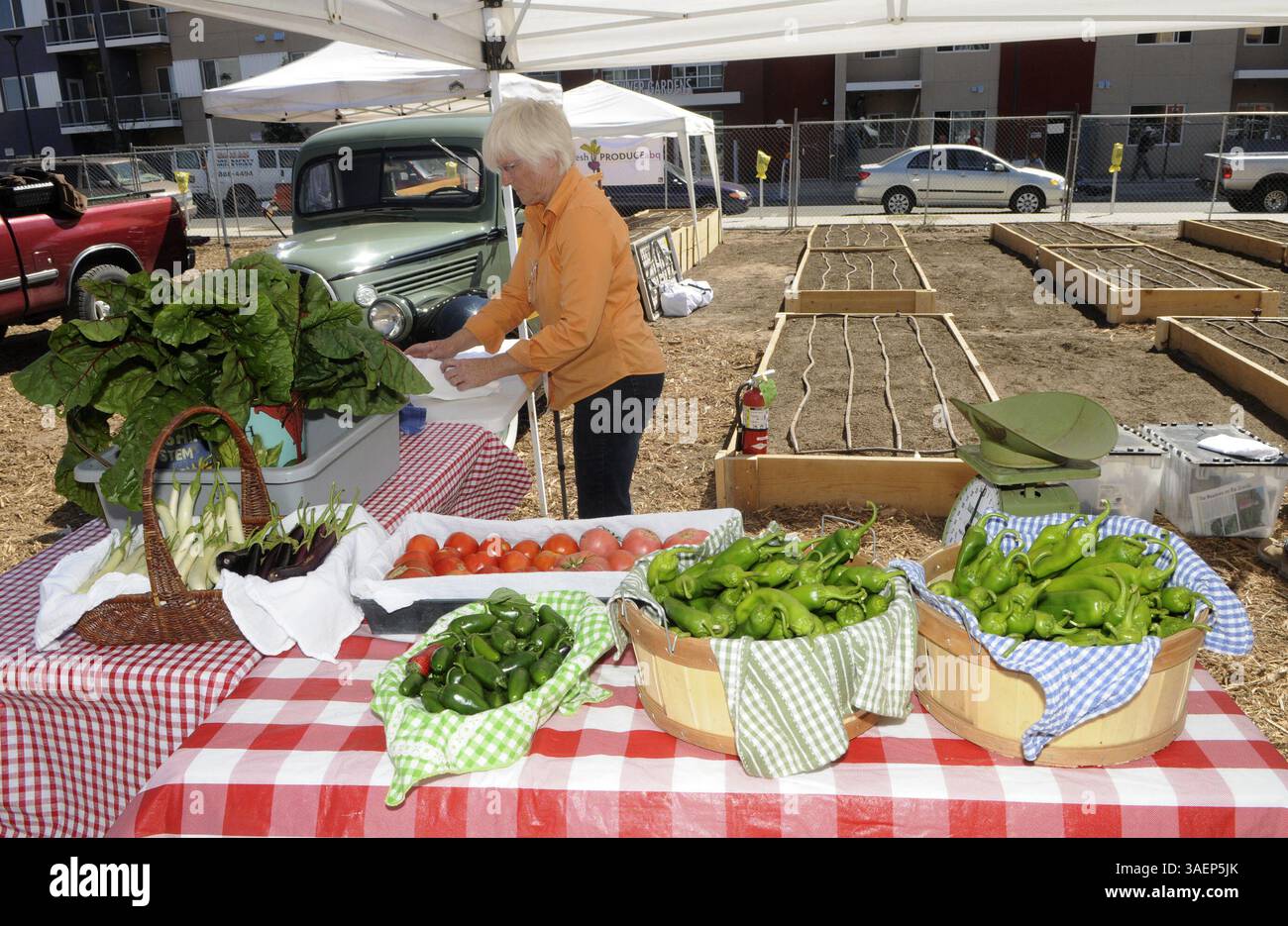 Linda alvarado hi-res stock photography and images - Alamy