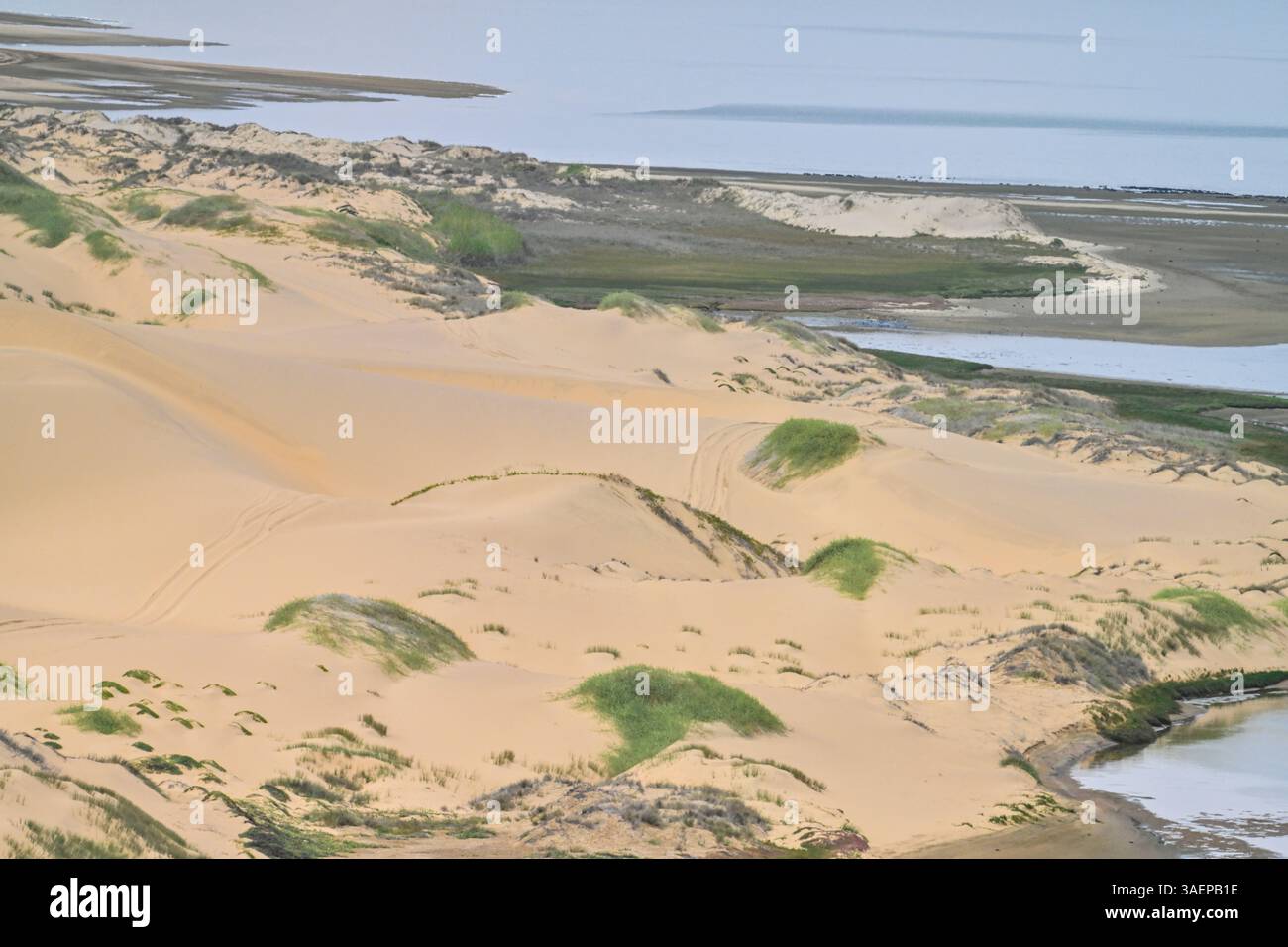 A breathtaking view of the desert-ocean ecosystem at Sandwich Harbour ...