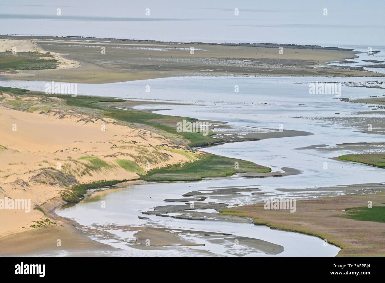 A breathtaking view of the desert-ocean ecosystem at Sandwich Harbour ...