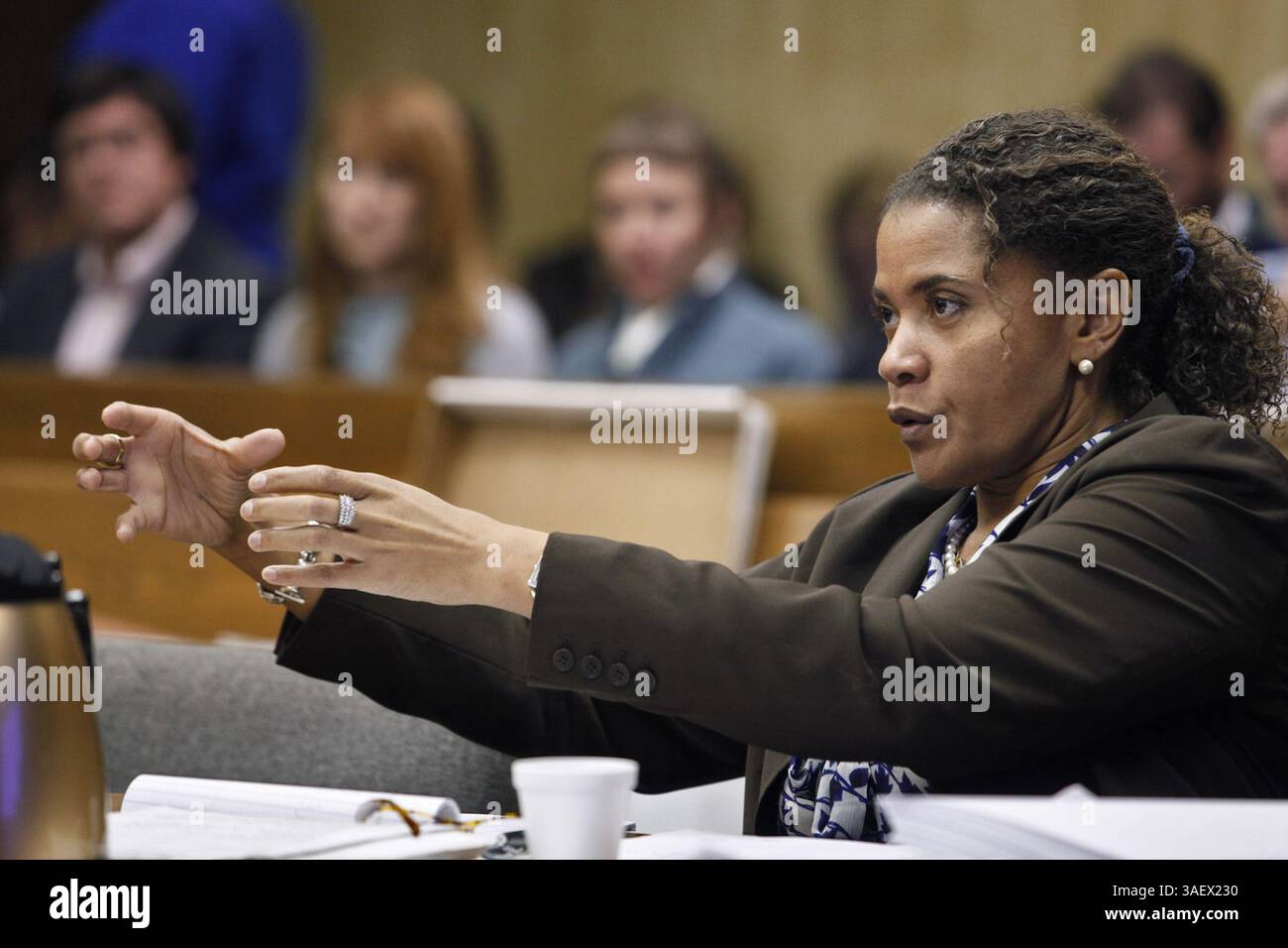 Dec. 13, 2011 - Durham, NC, USA - Durham District Attorney Tracey Cline questions witness Tom Bevel during Michael Peterson's hearing at the Durham County Courthouse in Durham, North Carolina on Tuesday, December 13, 2011. (Credit Image: © Shawn Rocco/Raleigh News & Observer/MCT/ZUMAPRESS.com) Stock Photo