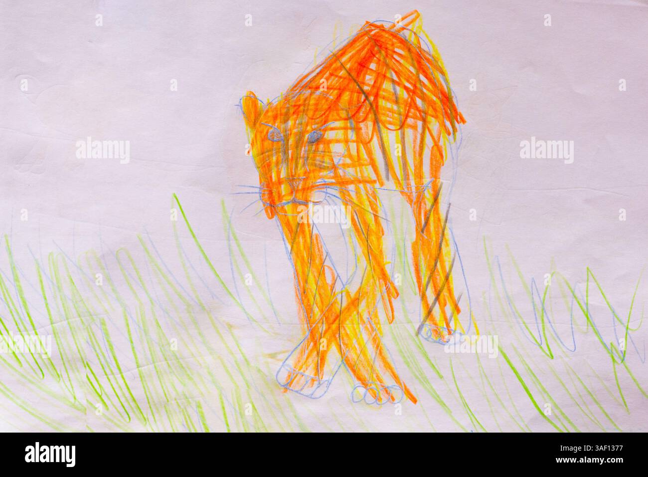 Colorful Drawing of a Tiger in Motion Stock Photo - Alamy