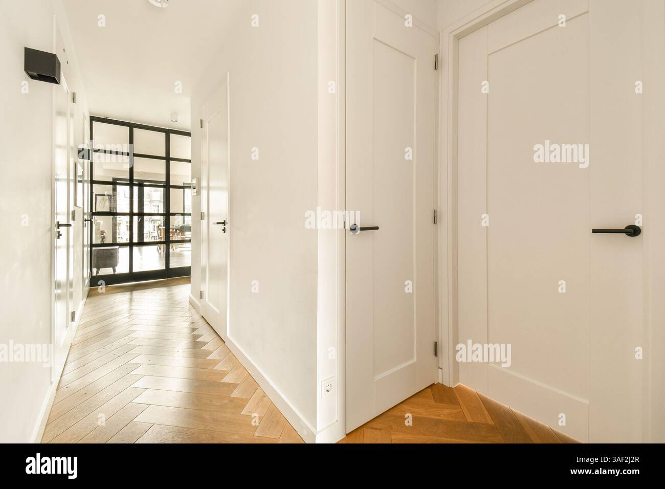 Photo inspiration: Fresh Look at A Sleek And Modern Hallway Featuring Stylish Doors And A