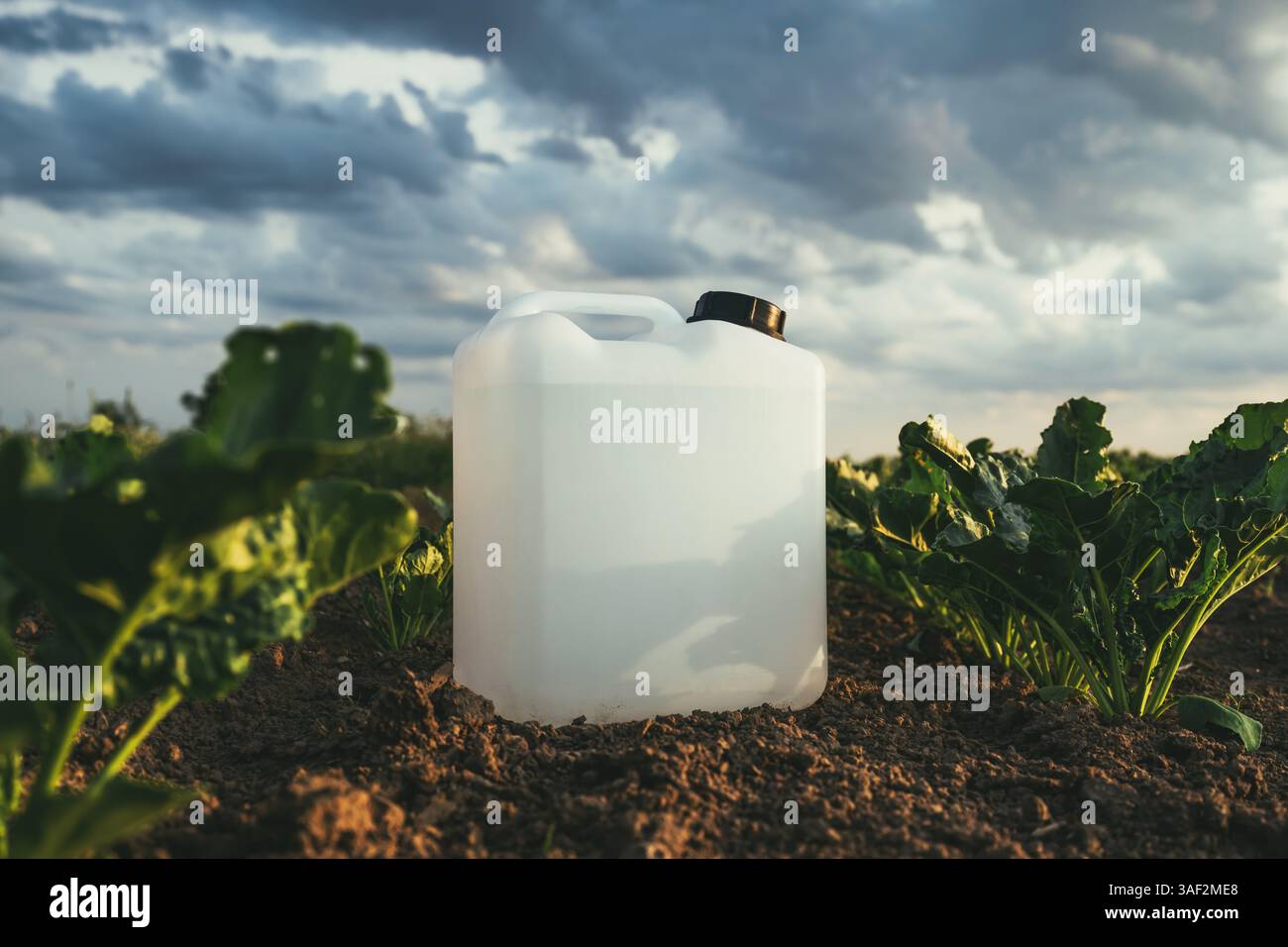 Blank white herbicide canister container in sugar beet seedling field ...