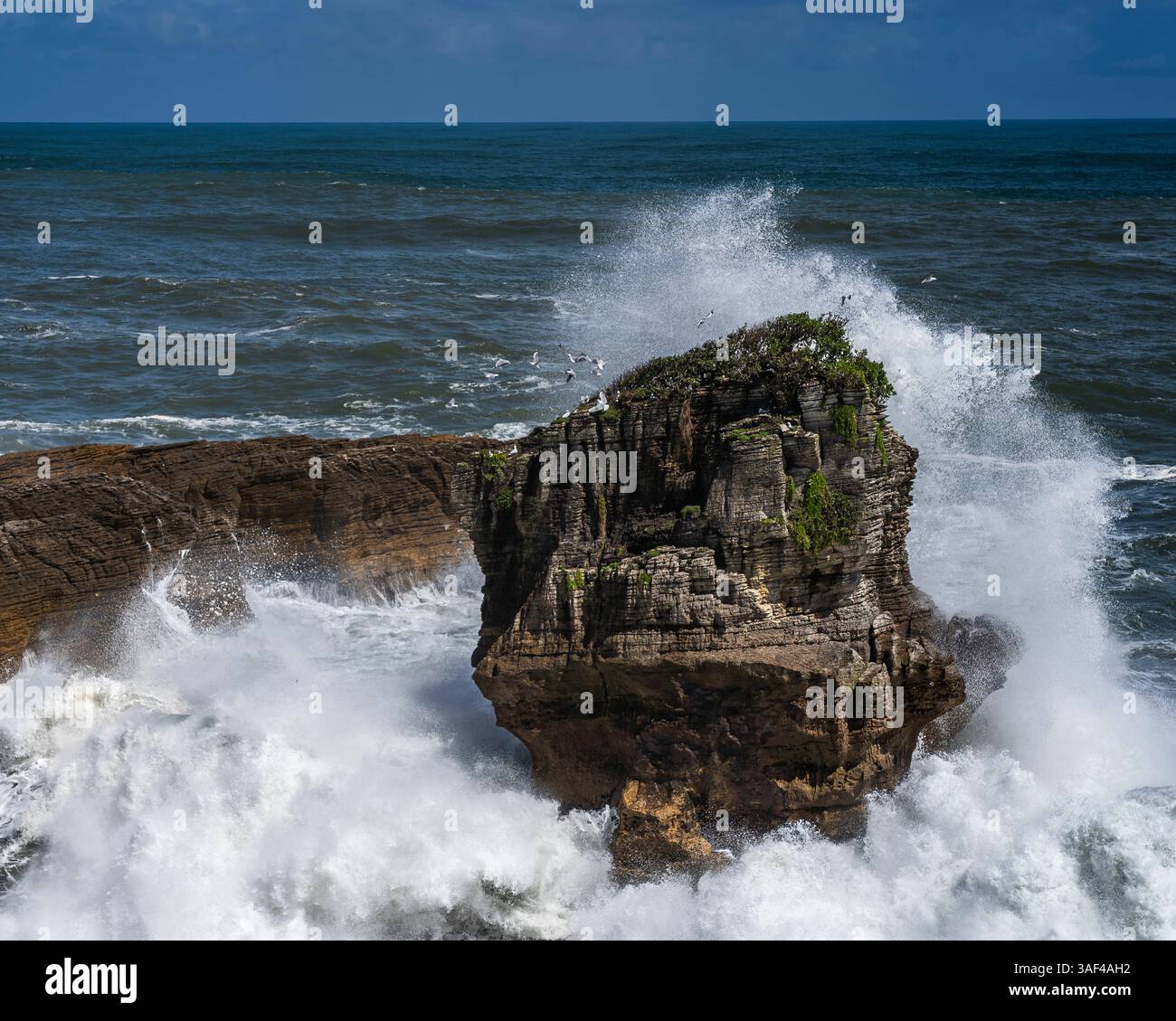 Ah Rocks Witnessing the Spectacular Blowholes of New Zealands Pancake Rocks ...