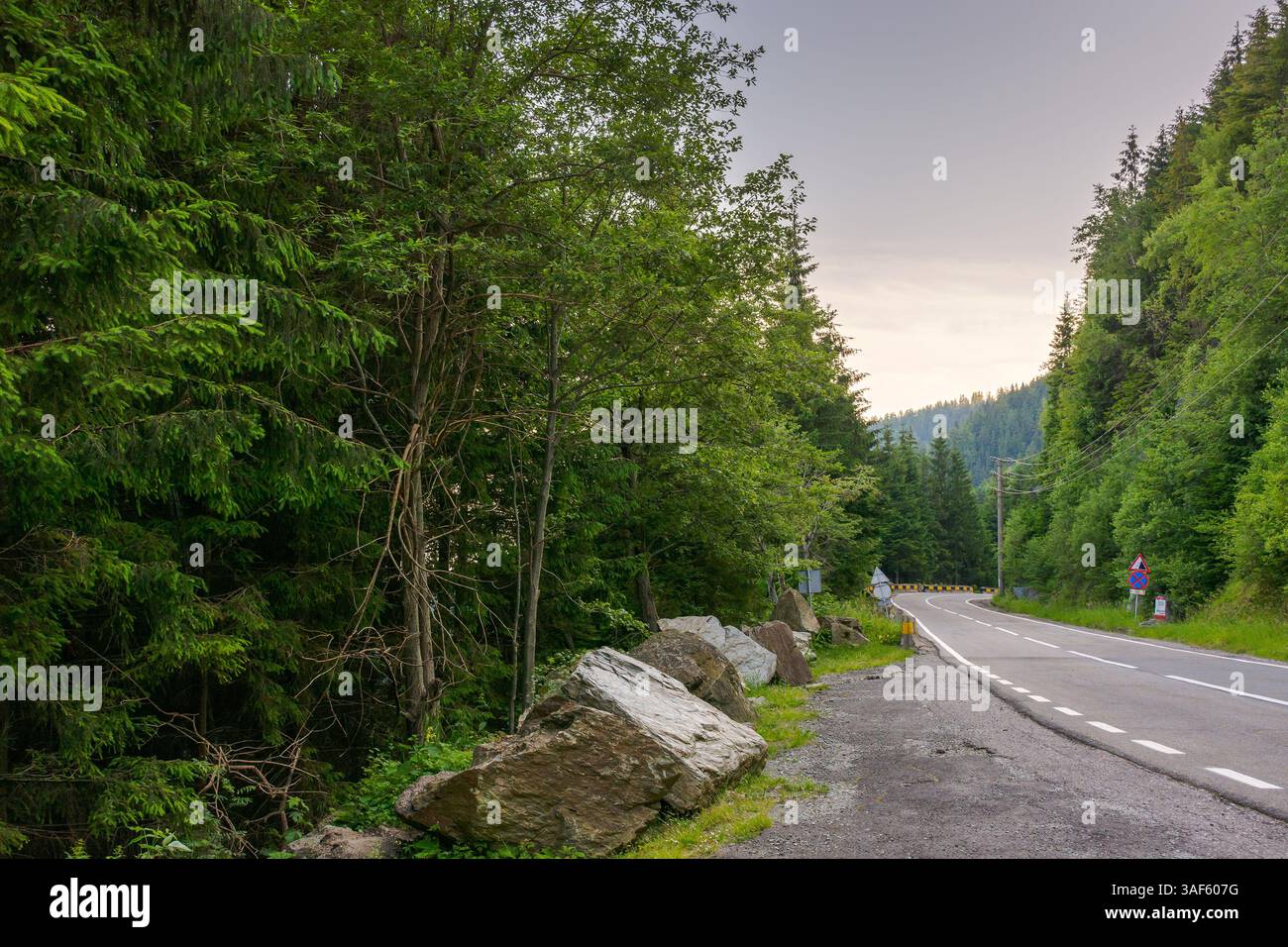 transfagarasan road winding near steep forested slope. great outdoors of fagaras mountain ridge of romania in summer. popular travel destination of eu Stock Photo