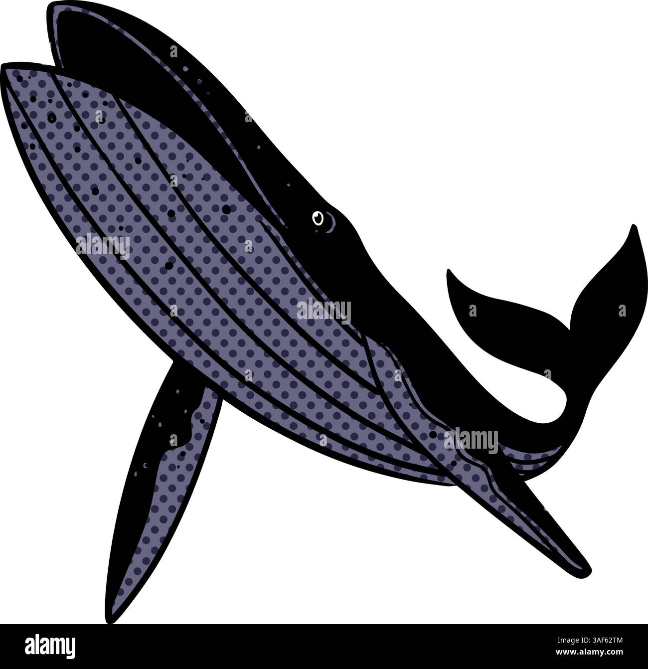 whale hand drawn halftone color vector illustration Stock Vector Image ...
