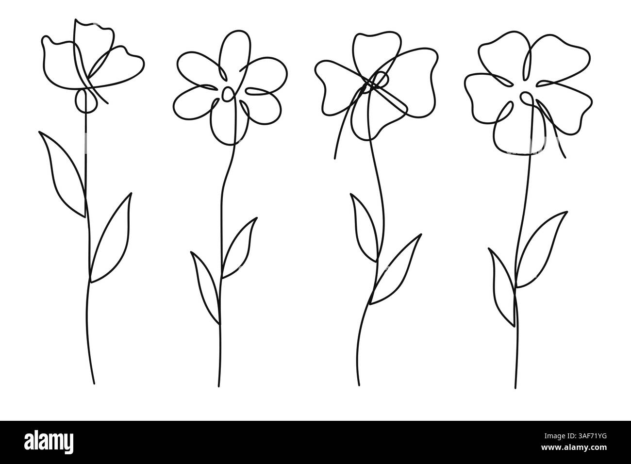 Single line art vector flower illustration collection.One continuous ...