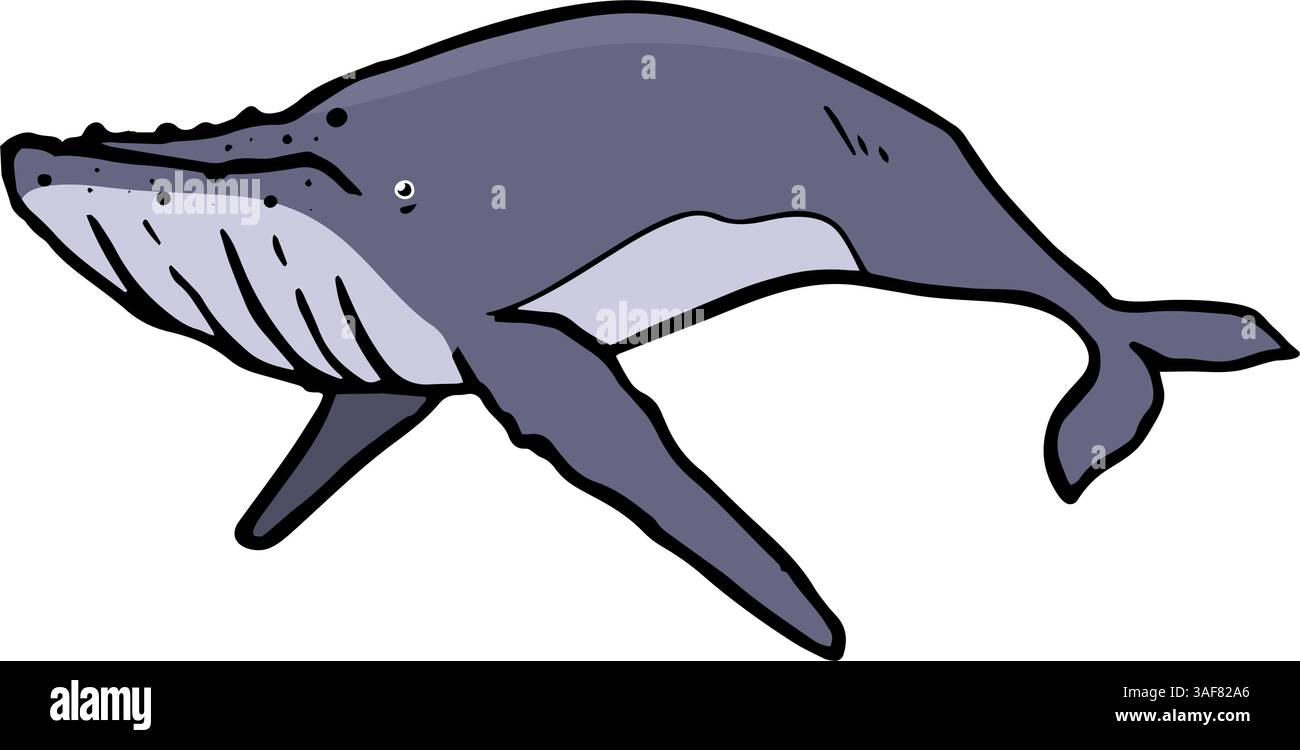 whale icon hand drawn color vector illustration Stock Vector Image ...