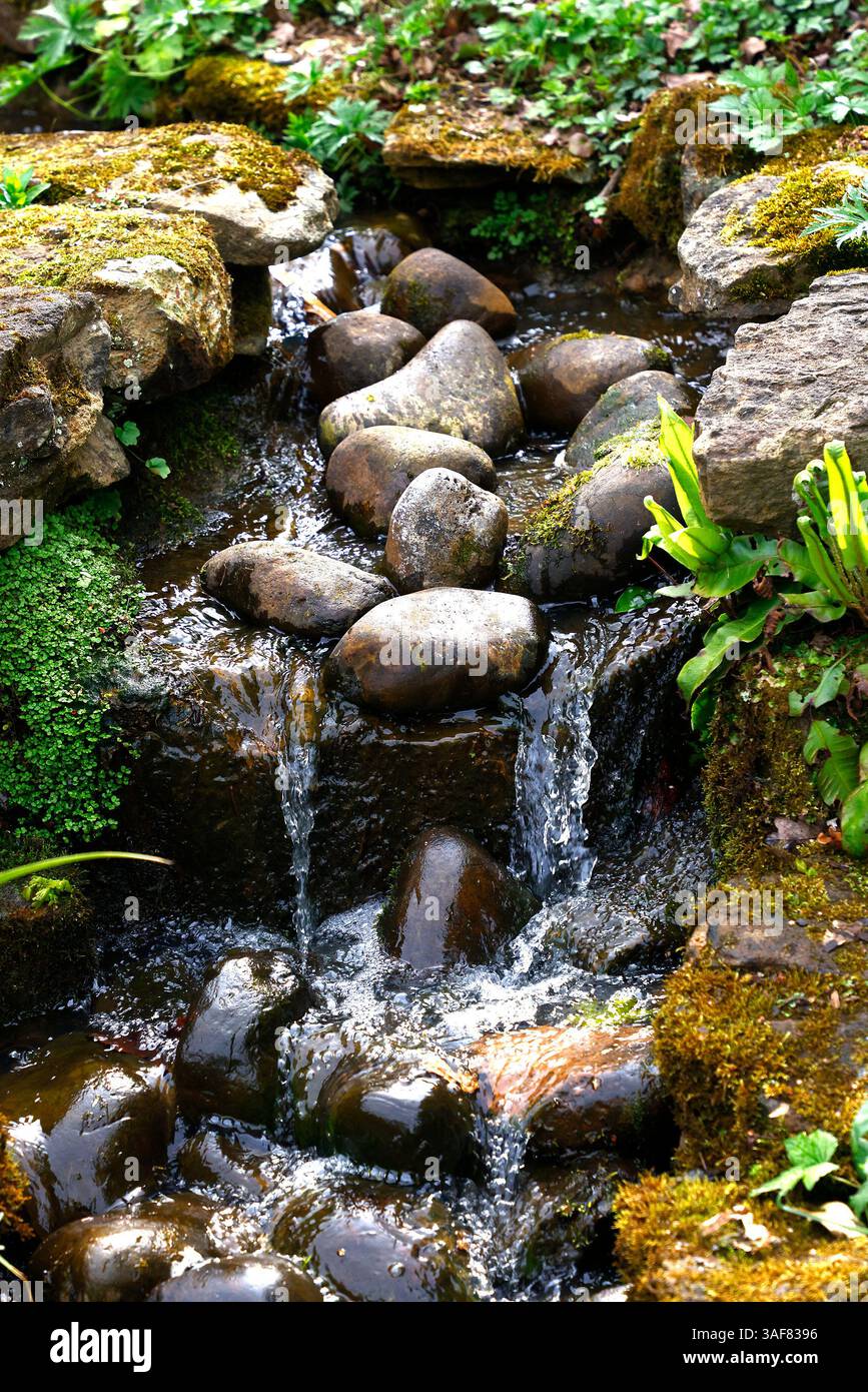 Close up of running water in a waterfall garden feature. Stock Photo