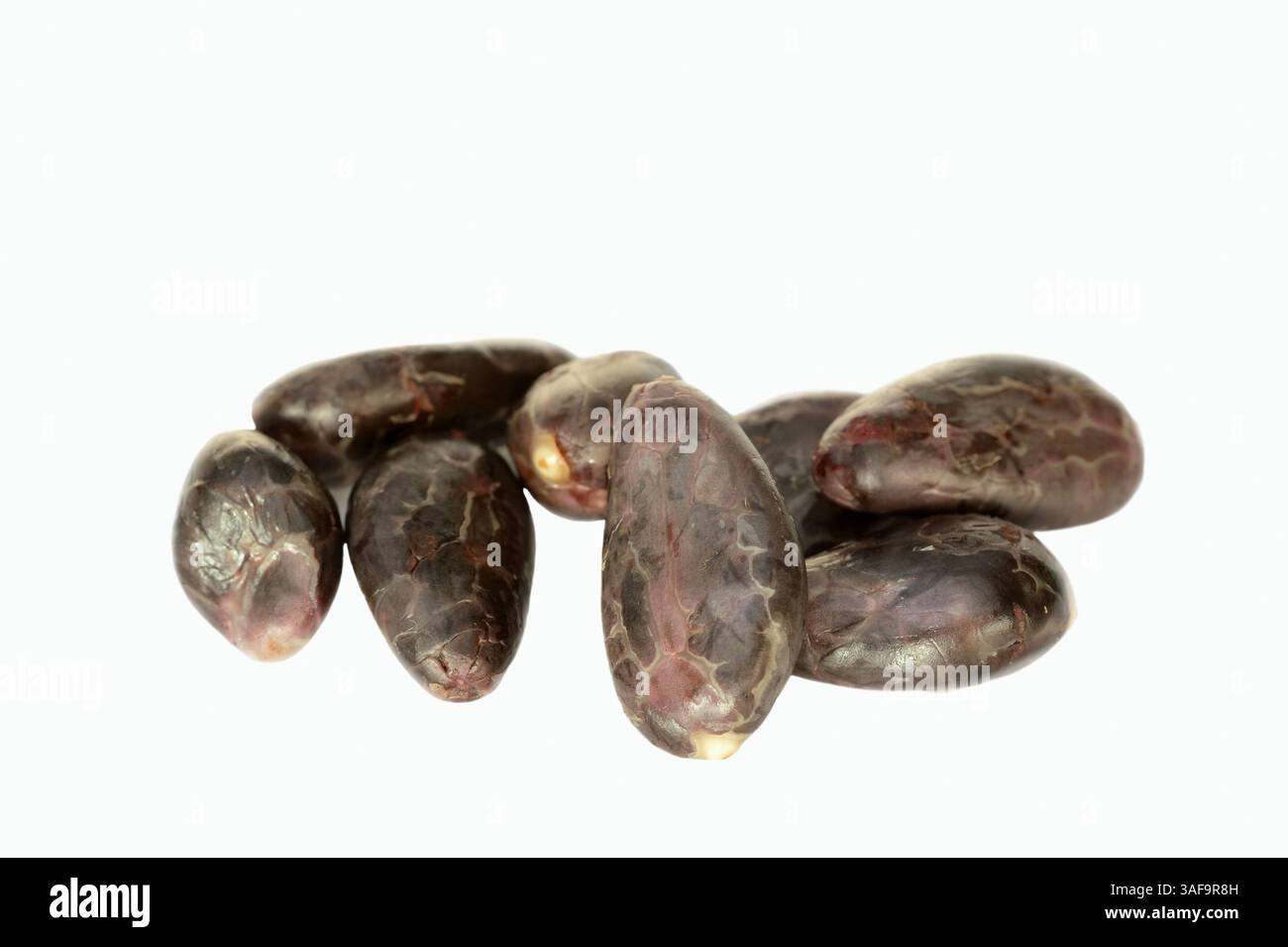 Kakaobohne hi-res stock photography and images - Alamy