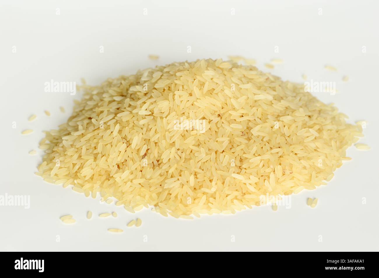 Rice (Oryza sativa) | Reis (Oryza sativa), Reiskörner Stock Photo - Alamy