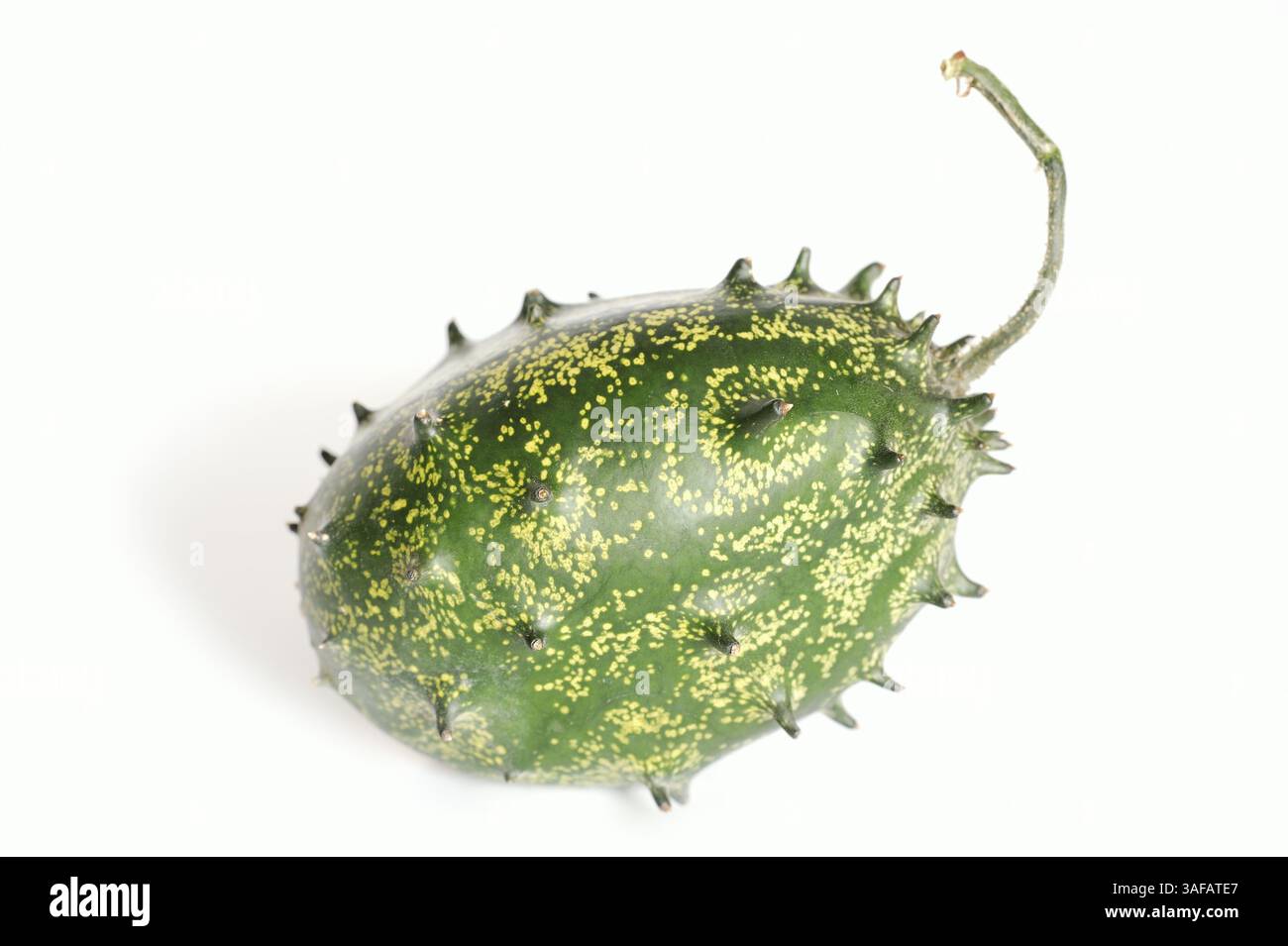 African Horned Cucumber or Horned Melon (Cucumis metuliferus), fruit on white background | Afrikanische Horngurke oder Kiwano (Cucumis metuliferus), F Stock Photo