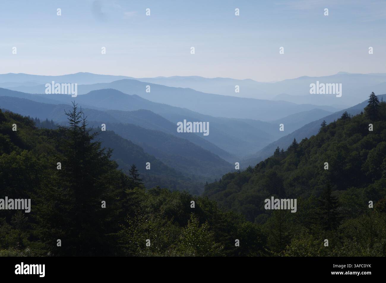 A journey into the misty unknown—where the valleys whisper stories, and every trail leads to discovery in the Great Smoky Mountains Stock Photo