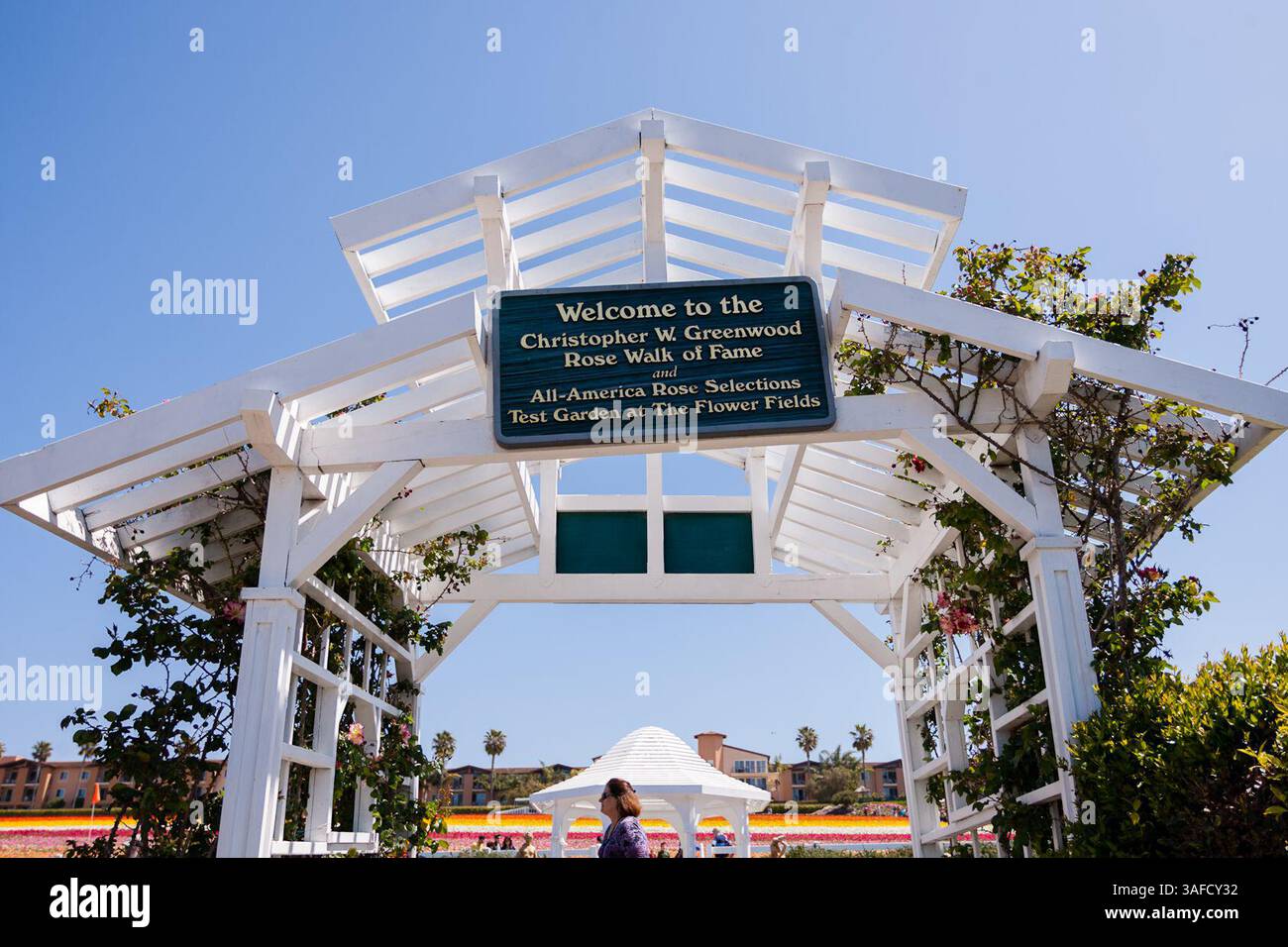 April 15, 2012 - Carlsbad, California, United States of America - The Christopher Greenwood ''Rose Walk of Fame'' at The Flower Fields at Carlsbad Ranch in Carlsbad, California. (Credit Image: © Matt Gdowski/ZUMAPRESS.com) Stock Photo