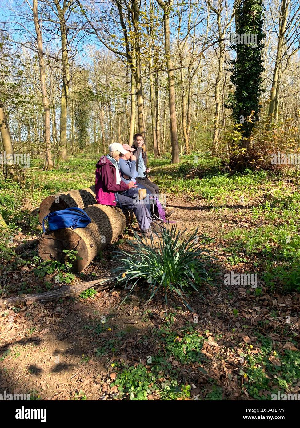 Eastern on the Hill woods farm land pretty walk walking outside tractor wheels wheel sign post signs trees pretty Summer Spring wooded area nice - Smartphone Captured Stock Image