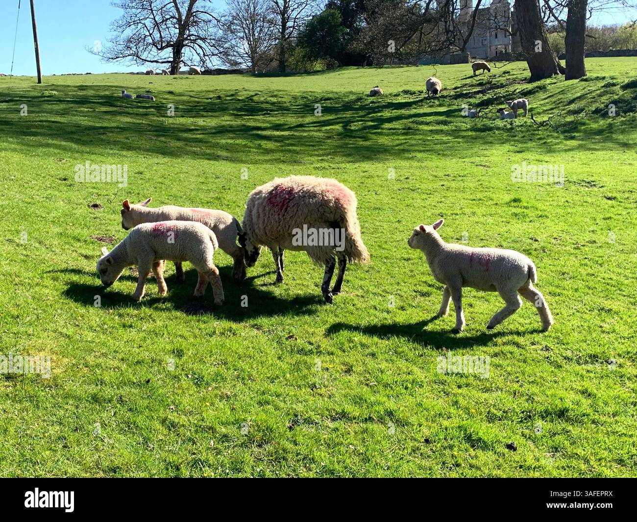 Eastern on the Hill woods farm land pretty walk walking outside tractor wheels wheel sign post signs trees pretty Summer Spring wooded area nice - Smartphone Captured Stock Image