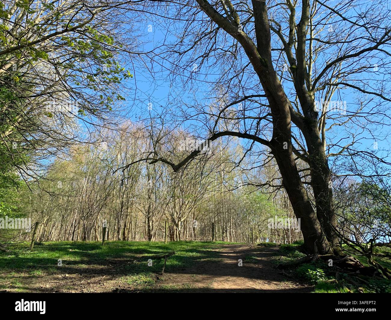Eastern on the Hill woods farm land pretty walk walking outside tractor wheels wheel sign post signs trees pretty Summer Spring wooded area nice - Smartphone Captured Stock Image
