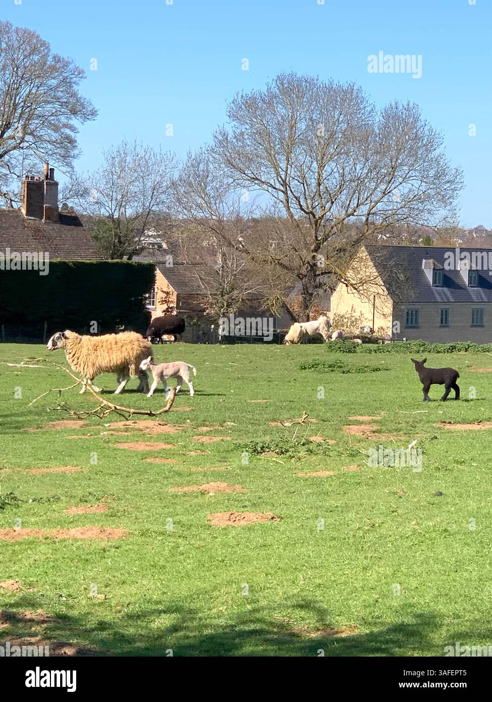 Eastern on the Hill woods farm land pretty walk walking outside tractor wheels wheel sign post signs trees pretty Summer Spring wooded area nice - Smartphone Captured Stock Image