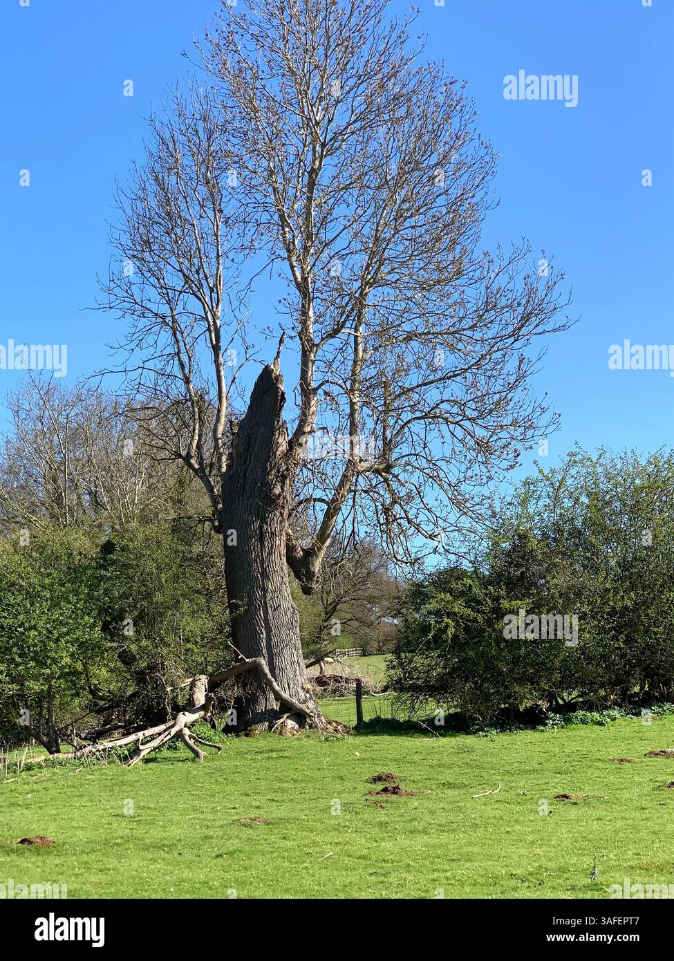 Eastern on the Hill woods farm land pretty walk walking outside tractor wheels wheel sign post signs trees pretty Summer Spring wooded area nice - Smartphone Captured Stock Image