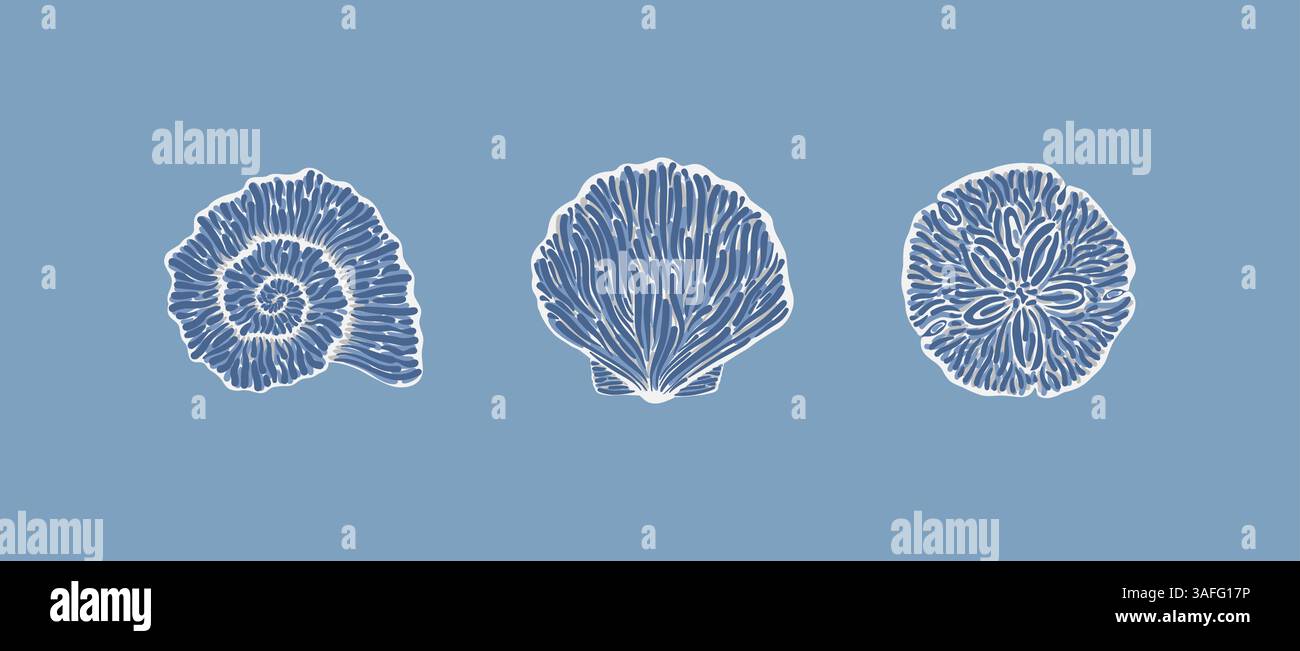 Shell Designs Natural Illustrations of various shell designs depicted with intricate white ...