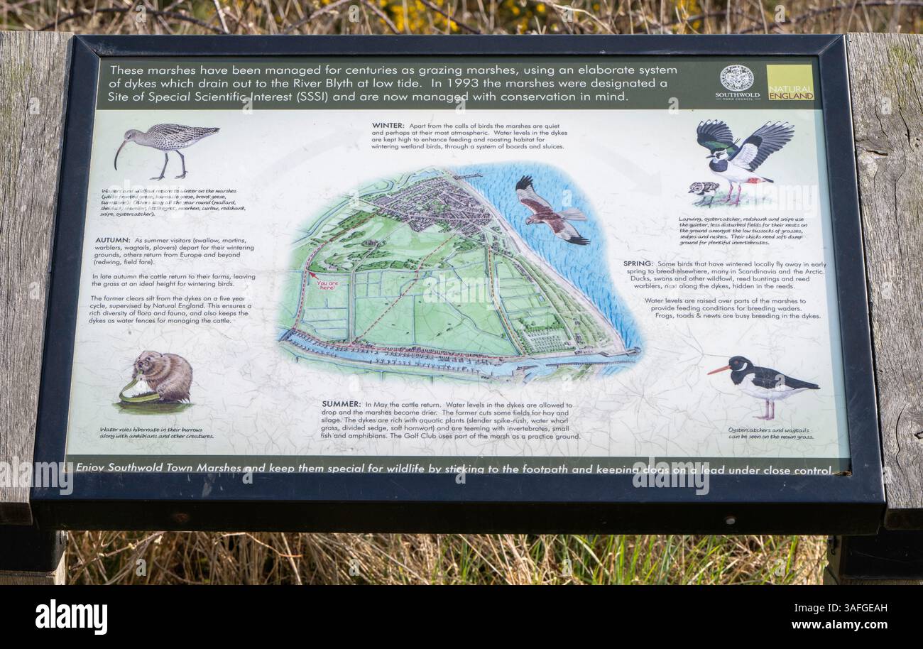 Natural England information board at Southwold Town Marches, Southwold, Suffolk, East Anglia, England, UK Stock Photo