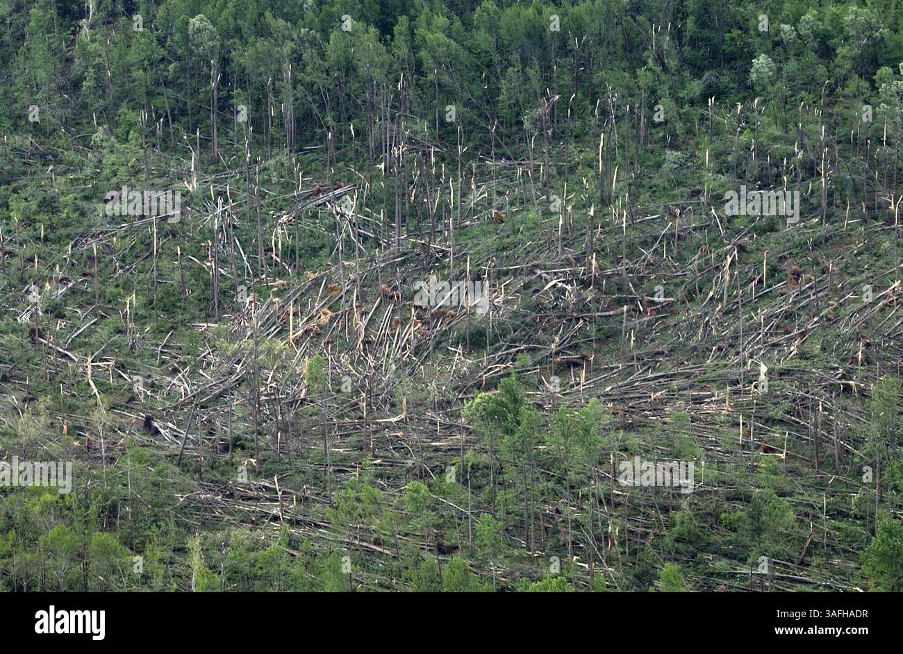 Aerial views of swamp east of LaPlata, MD the day after a F5 tornado devasted the town Monday, April 29, 2002. Trees were blown down in a circular pattern for miles. (Credit Image: The Washington Times/ZUMAPRESS.com) Stock Photo