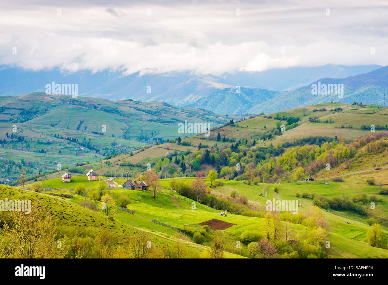 mountainous rural landscape in spring. amazing view of organic farmland. trees and agricultural fields on hills rolling in to the distant valley. ridg Stock Photo