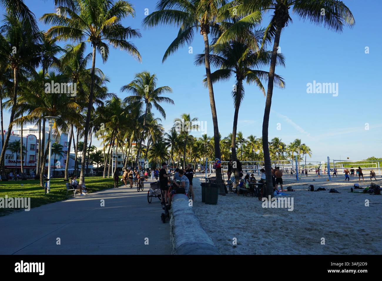 Tourists spend an active day in Lummus park by the Miami Beach boardwalk and Ocean Drive, playing beach volleyball by the palm trees in the sun. Stock Photo