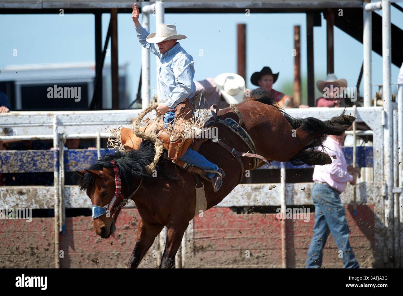 Usa california tres in hi-res stock photography and images - Alamy