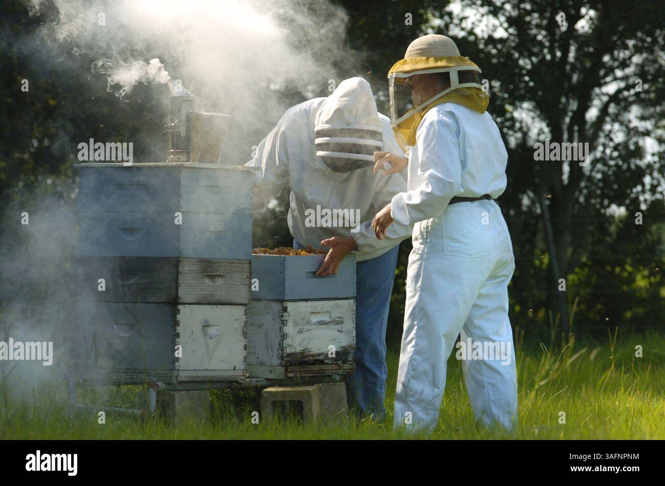 Bee_smoker hi-res stock photography and images - Alamy