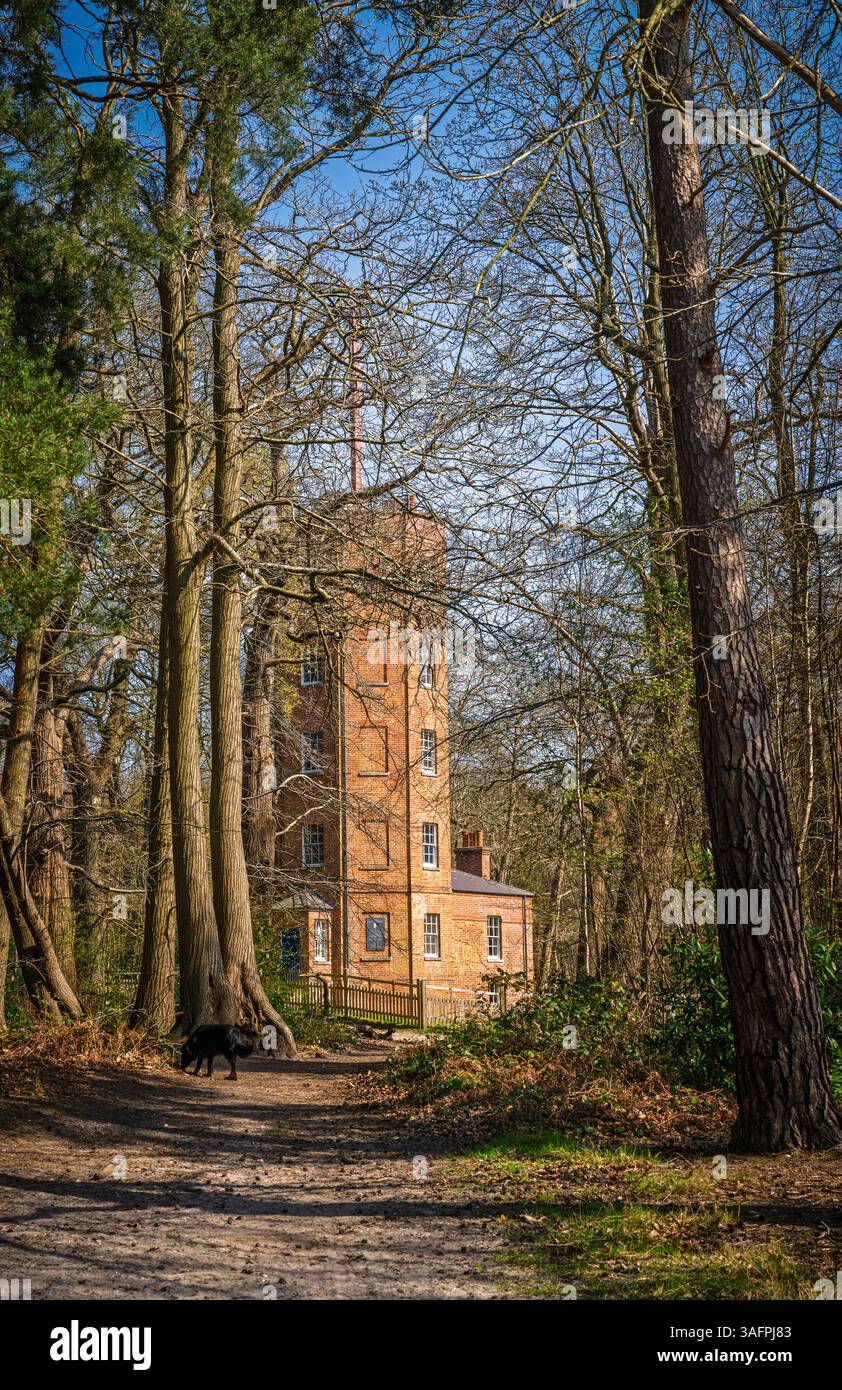 The restored octagonal 19th century (1822) grade II* listed Chatley Heath Semaphore Tower on Wisley and Ockham Commons, Surrey, south-east England Stock Photo
