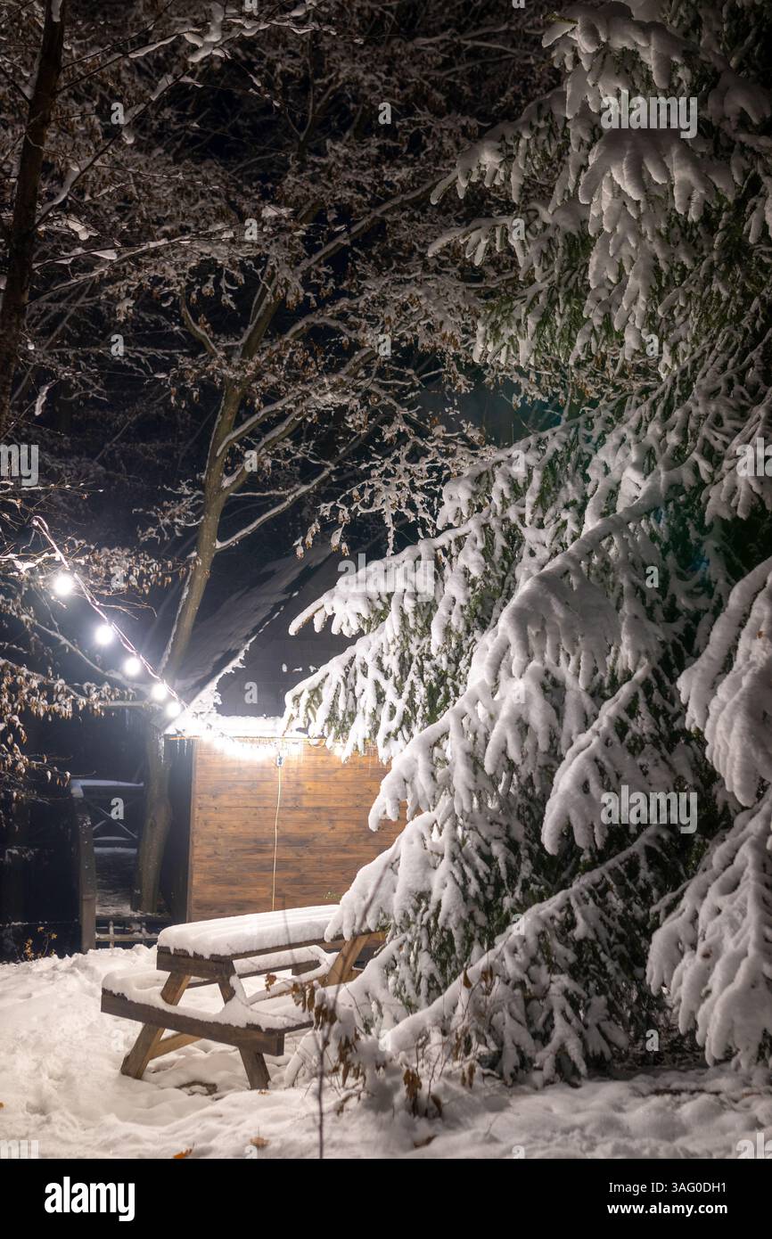 A snow-covered wooden picnic table and benches stand in a forest at night, illuminated by string lights hanging in the background Stock Photo