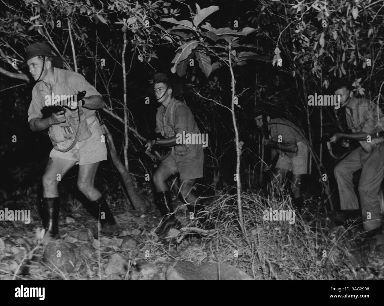 Australian soldiers undergo jungle training near Cairns readiness for ...