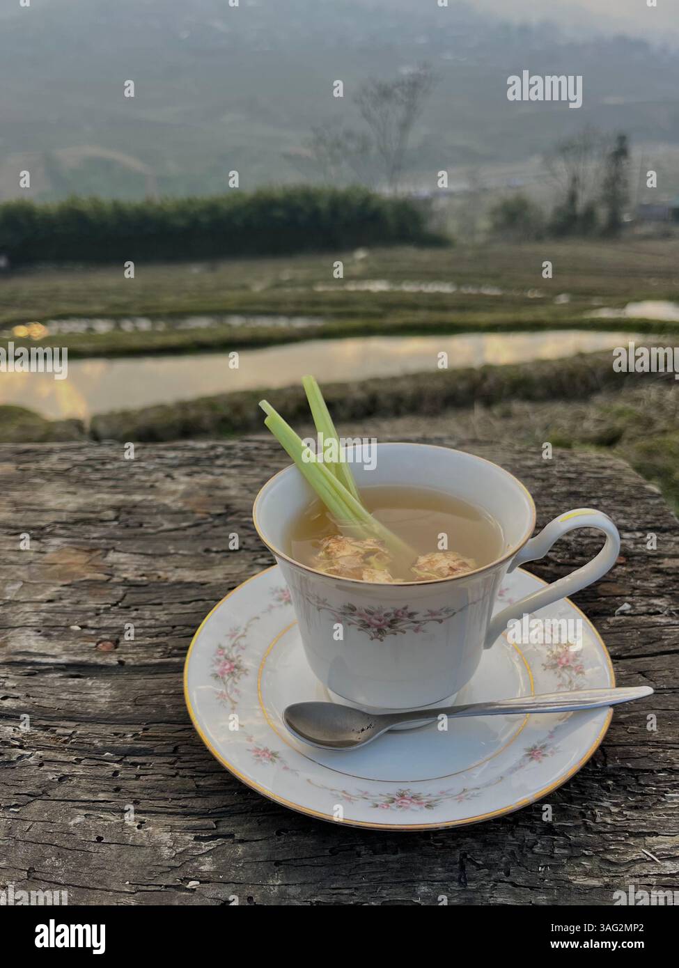 Drinking herbal tea at a local cafe in between rice fields in Vietnam - Smartphone Captured Stock Image