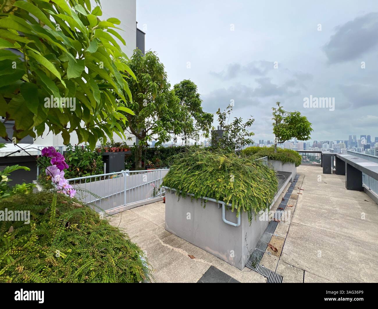 Trees on top of the buildings. A high rise building that can see the city skyline from far. Singapore. - Smartphone Captured Stock Image