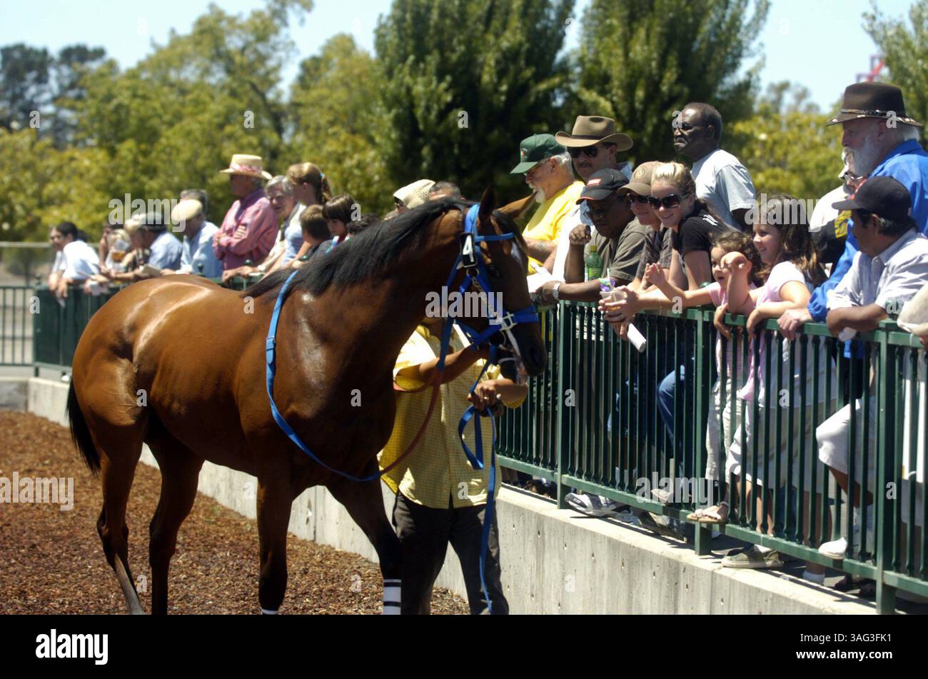 Cal expo horse racing hi-res stock photography and images - Alamy