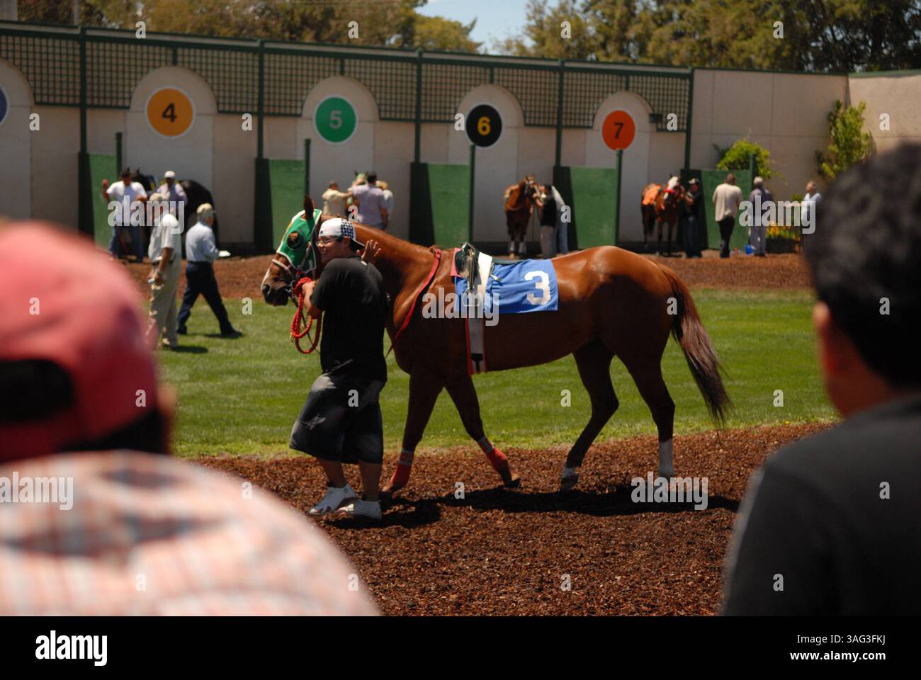 Cal expo horse racing hi-res stock photography and images - Alamy