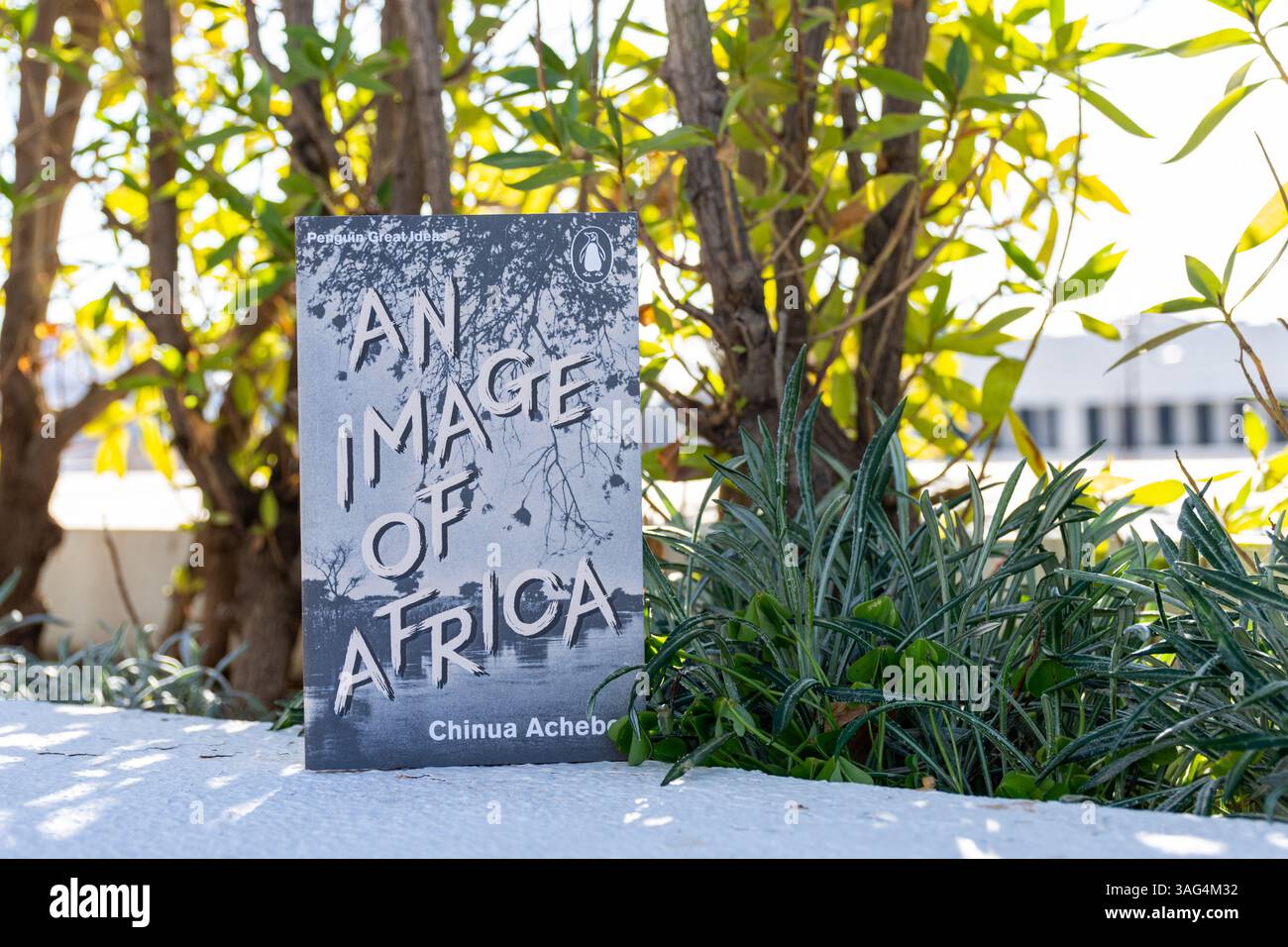 Close-up of Chinua Achebe's An Image of Africa novel in the garden ...