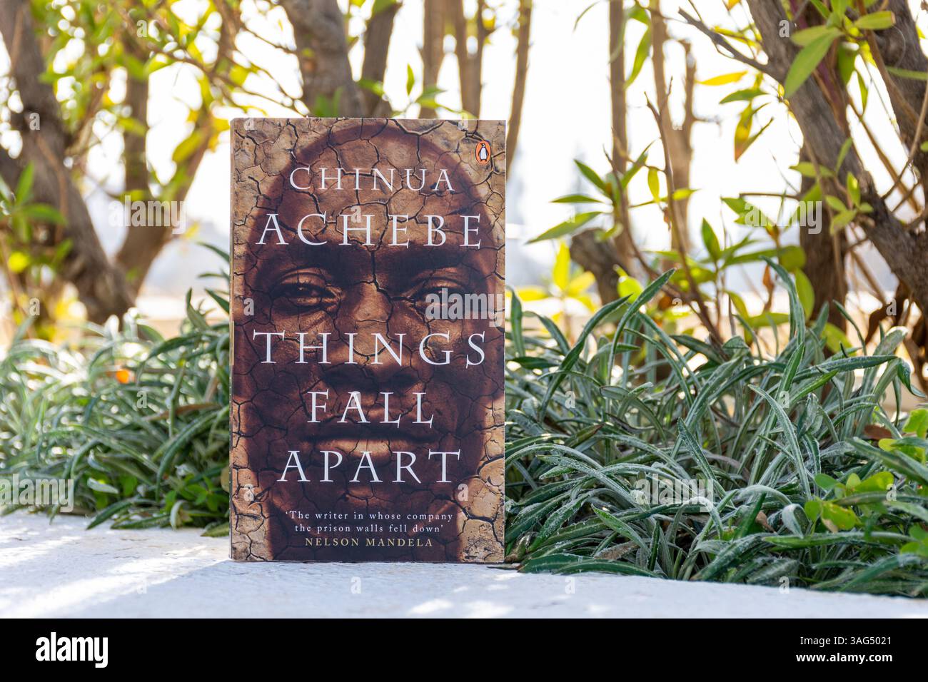 things fall apart chinua achebe