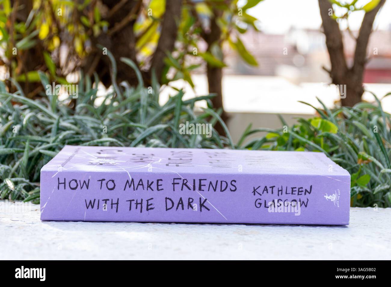 Close up of kathleen glasgow s how to make friends with the dark book
