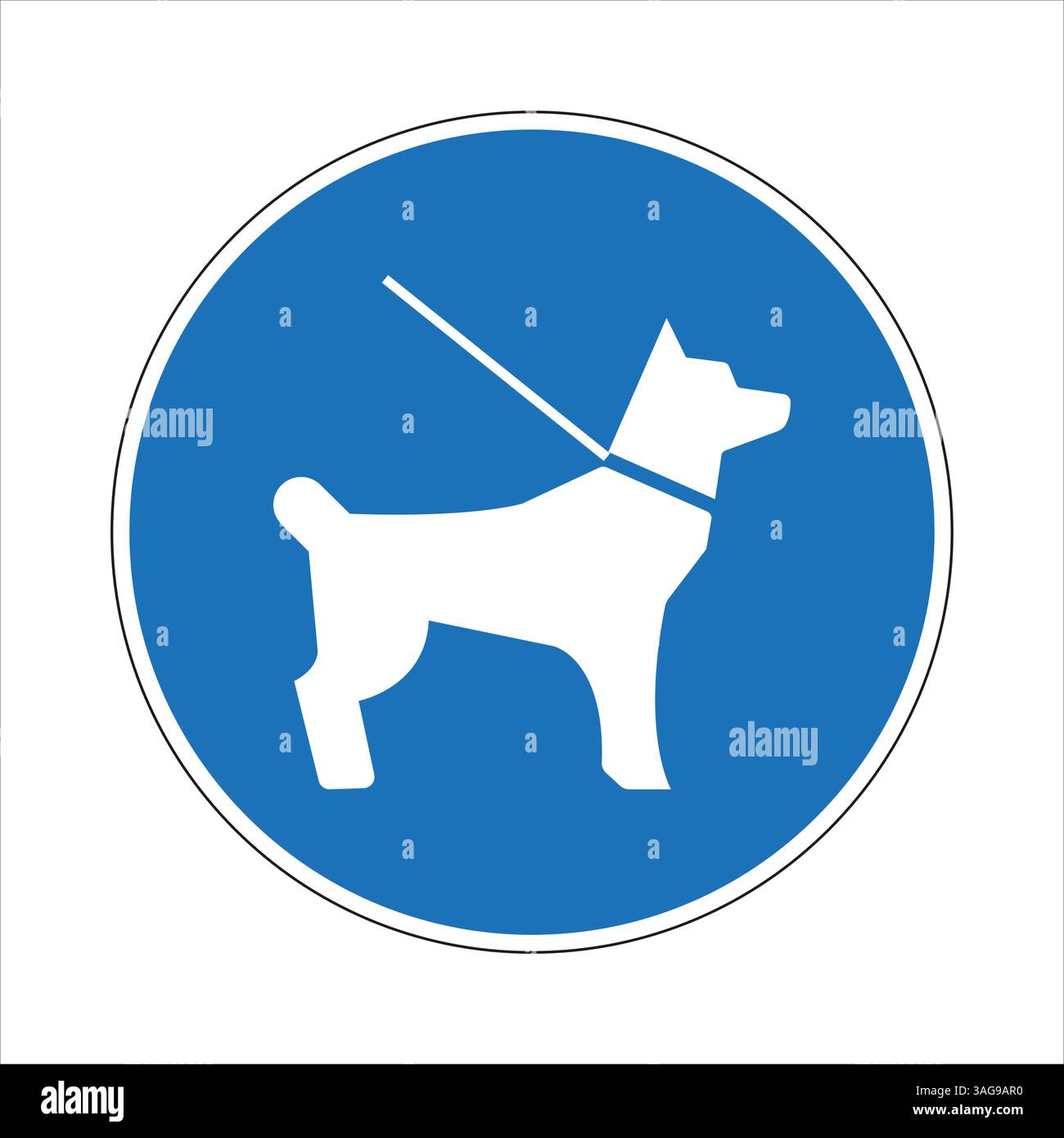 Blue round mandatory sign showing a leashed dog, promoting responsible ...