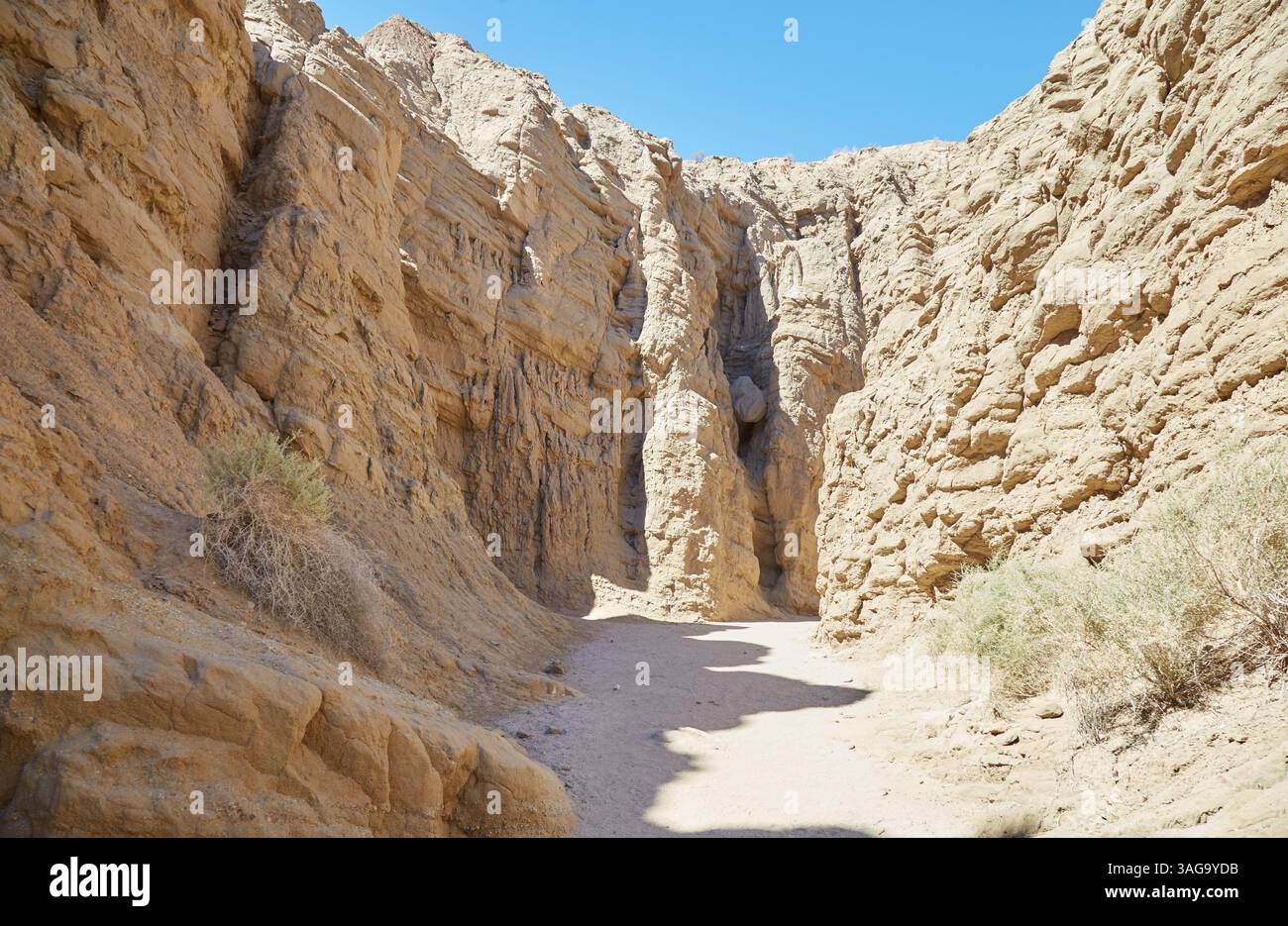 Anza-Borrego Desert State Park is California's largest State Park. It's ...