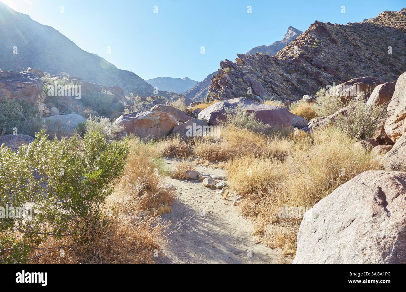 Anza-Borrego Desert State Park is California's largest State Park. It's ...